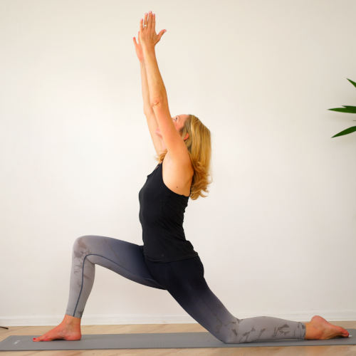 Yogakurse und Veranstaltungen für Anfänger und Fortgeschrittene